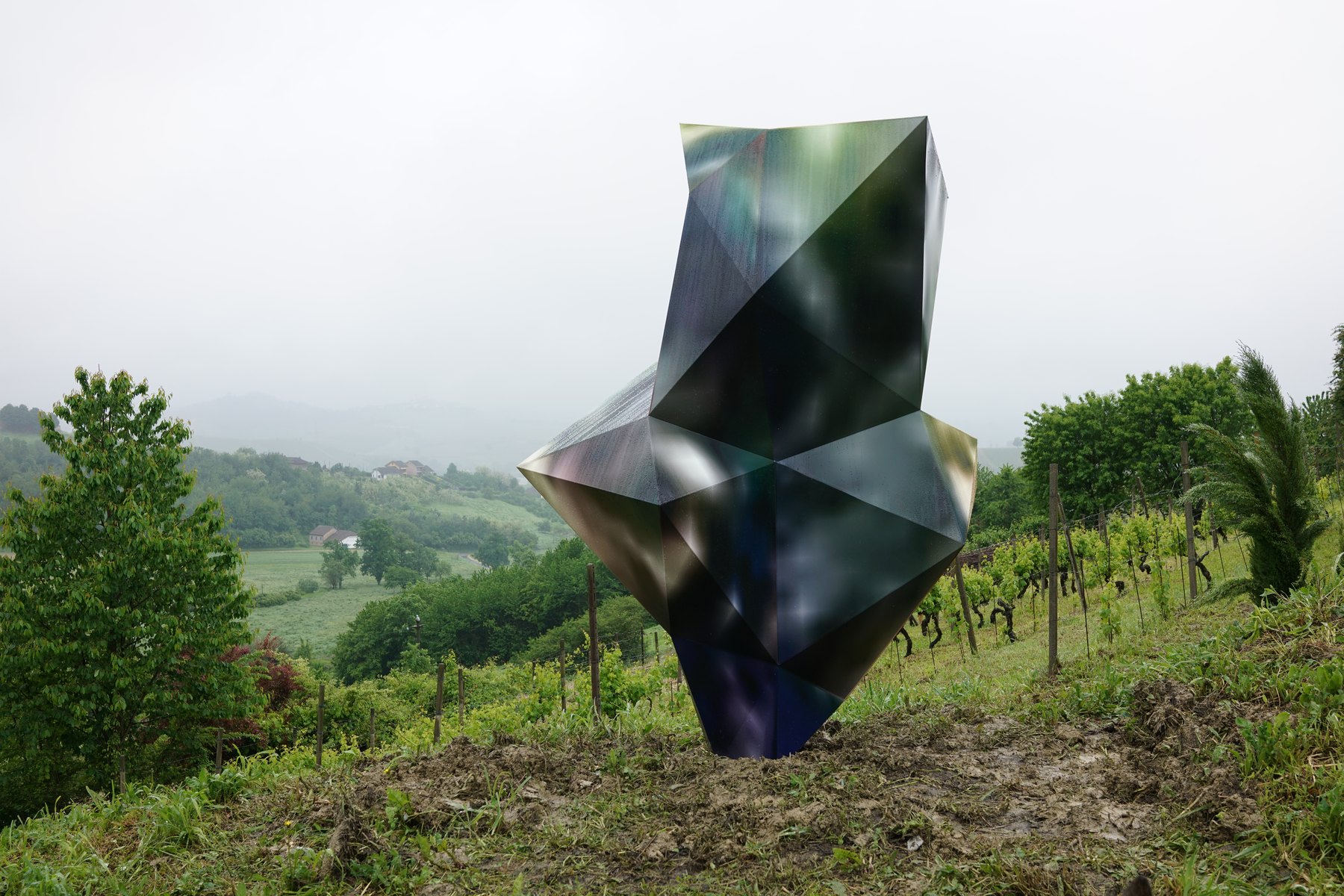 Google Tree (Asti)