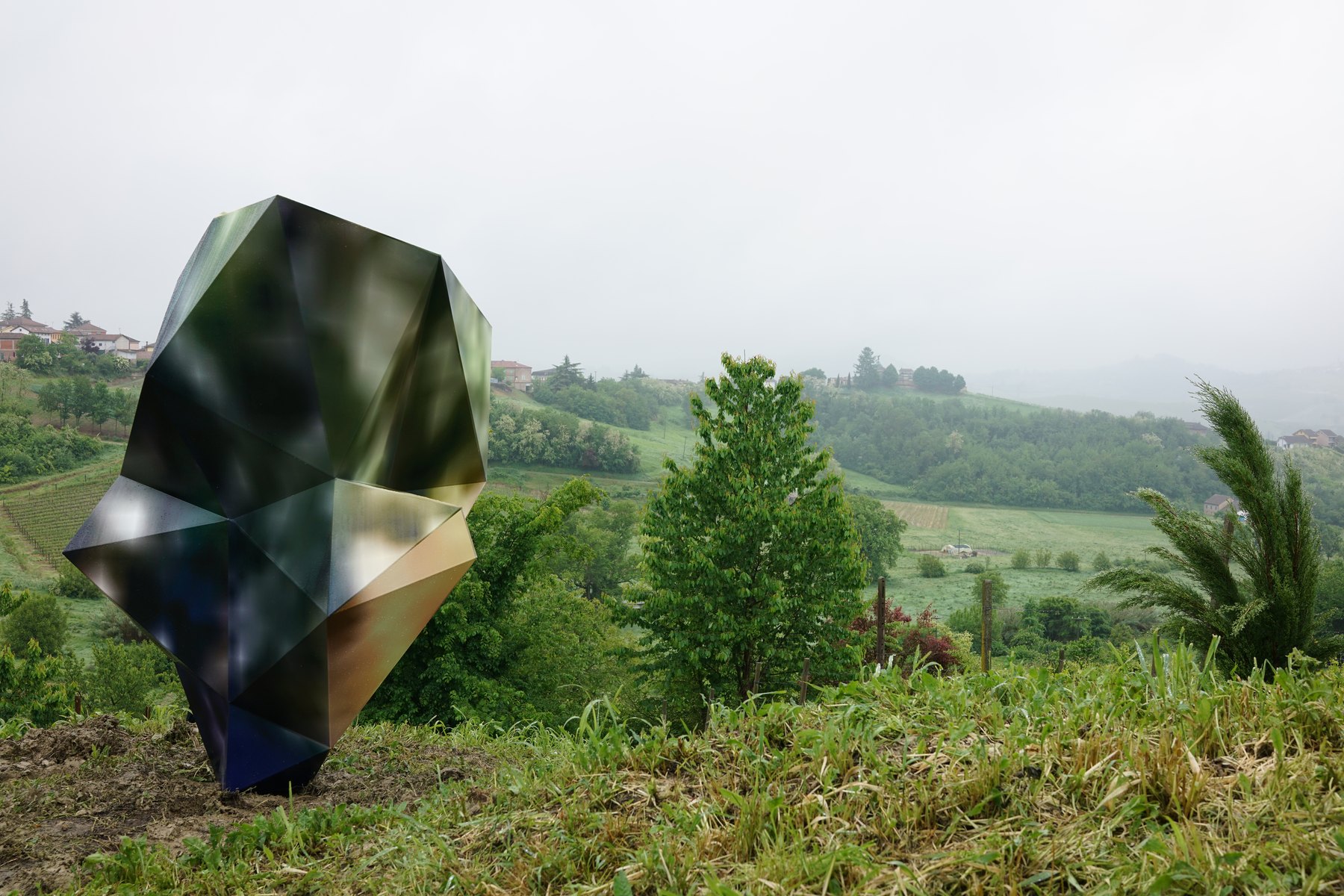 Google Tree (Asti)