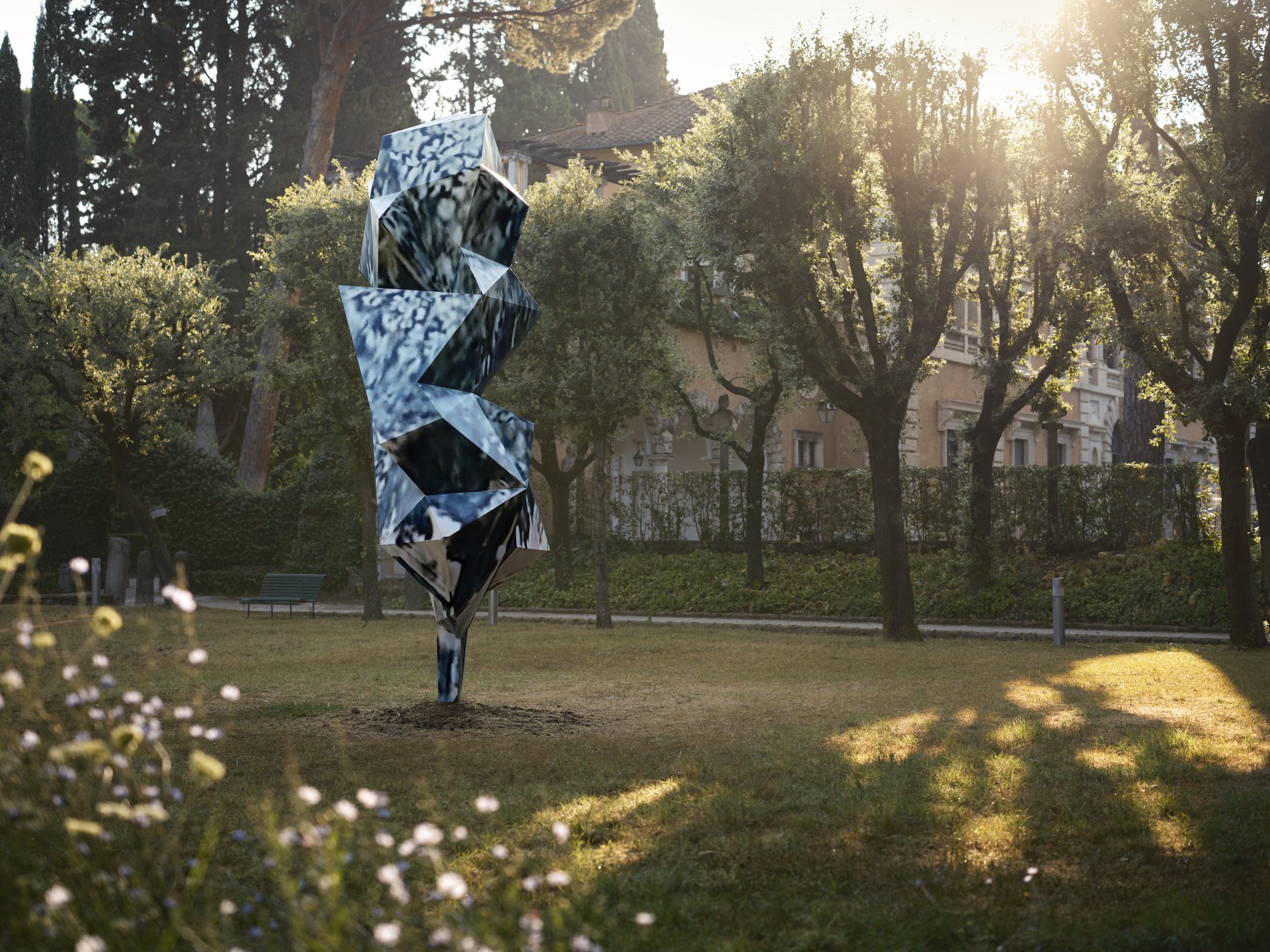 A Google Tree (Villa Massimo)