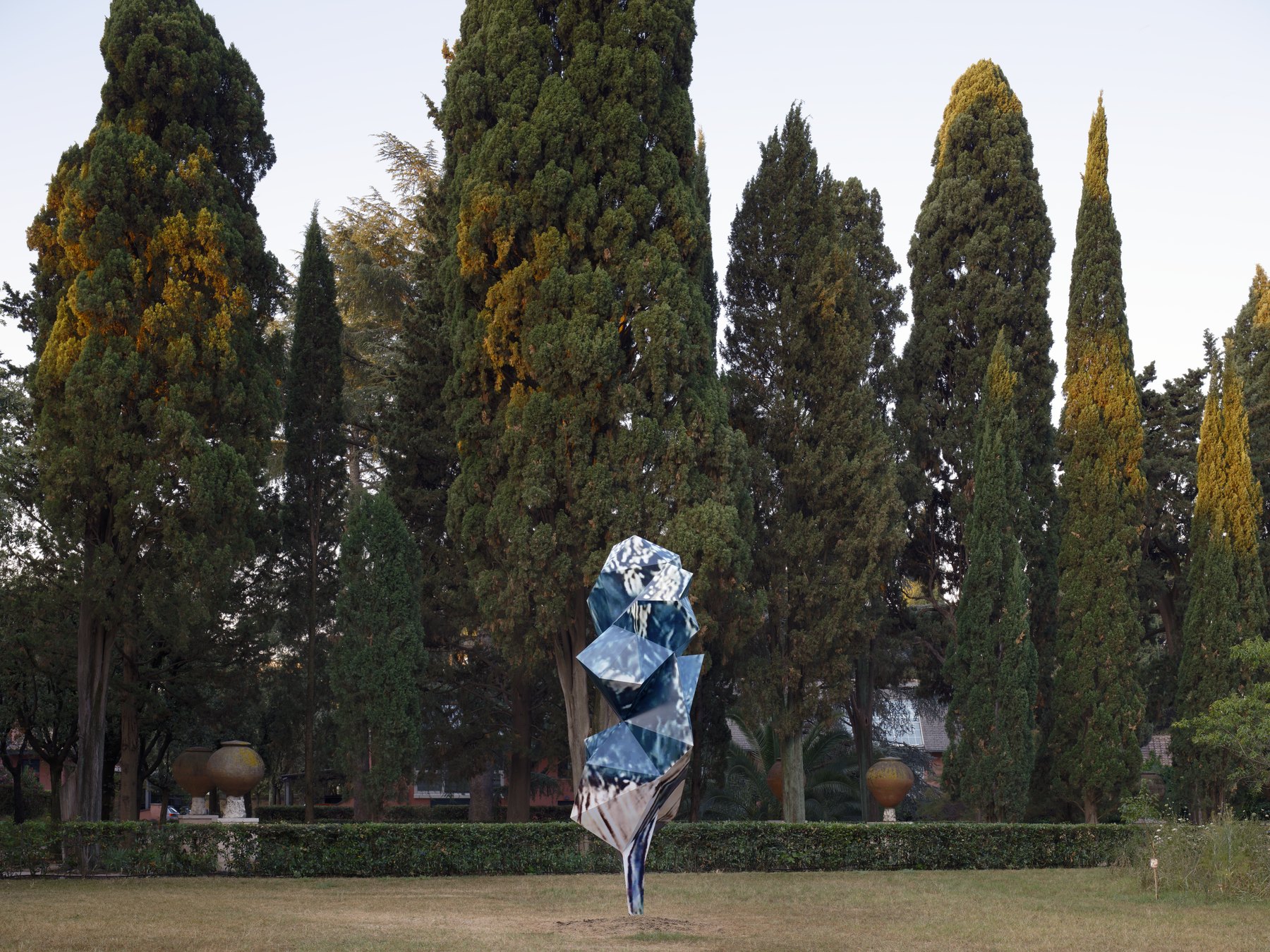 A Google Tree (Villa Massimo)