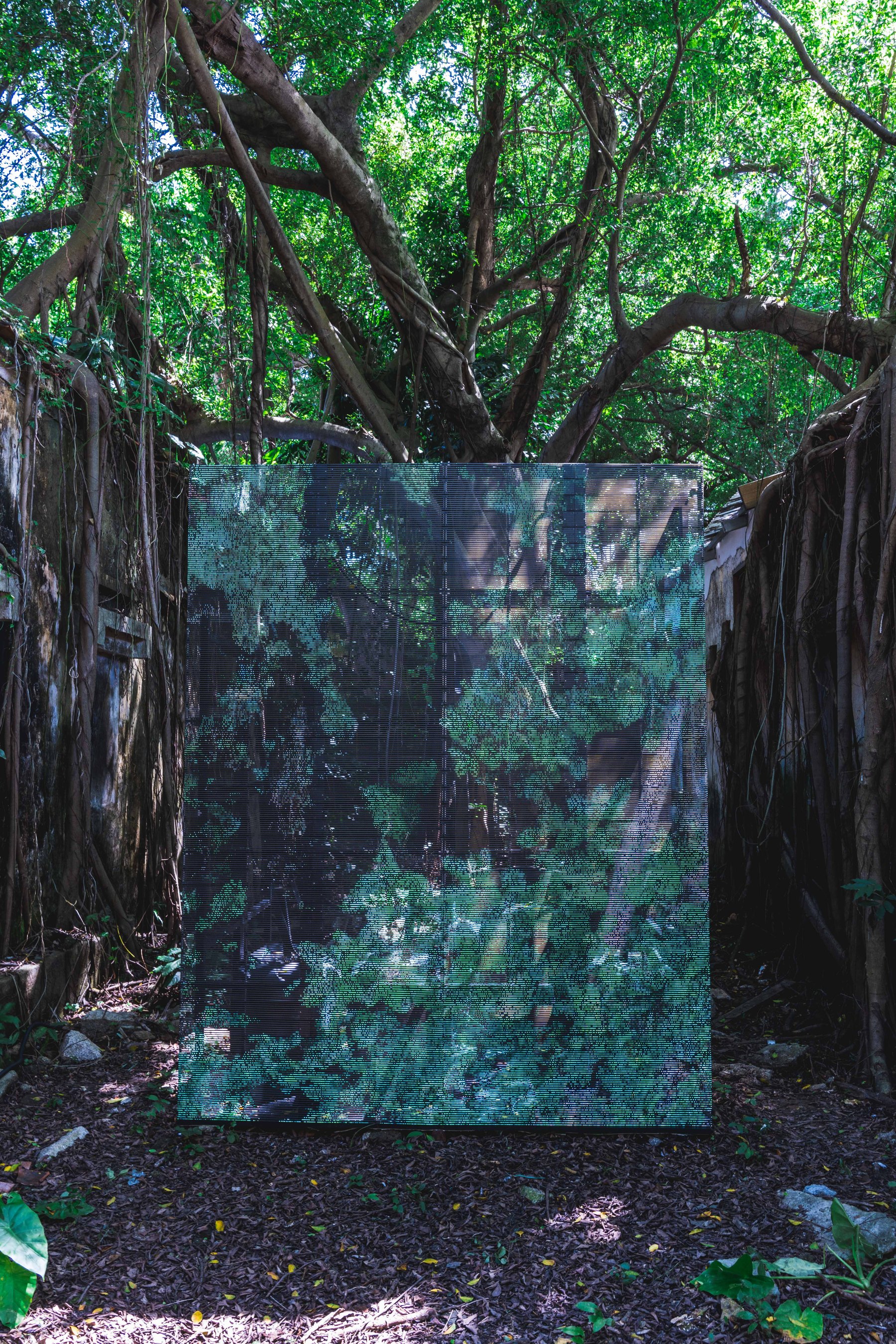 Transparent Garden (Macao Pointcloud Garden)